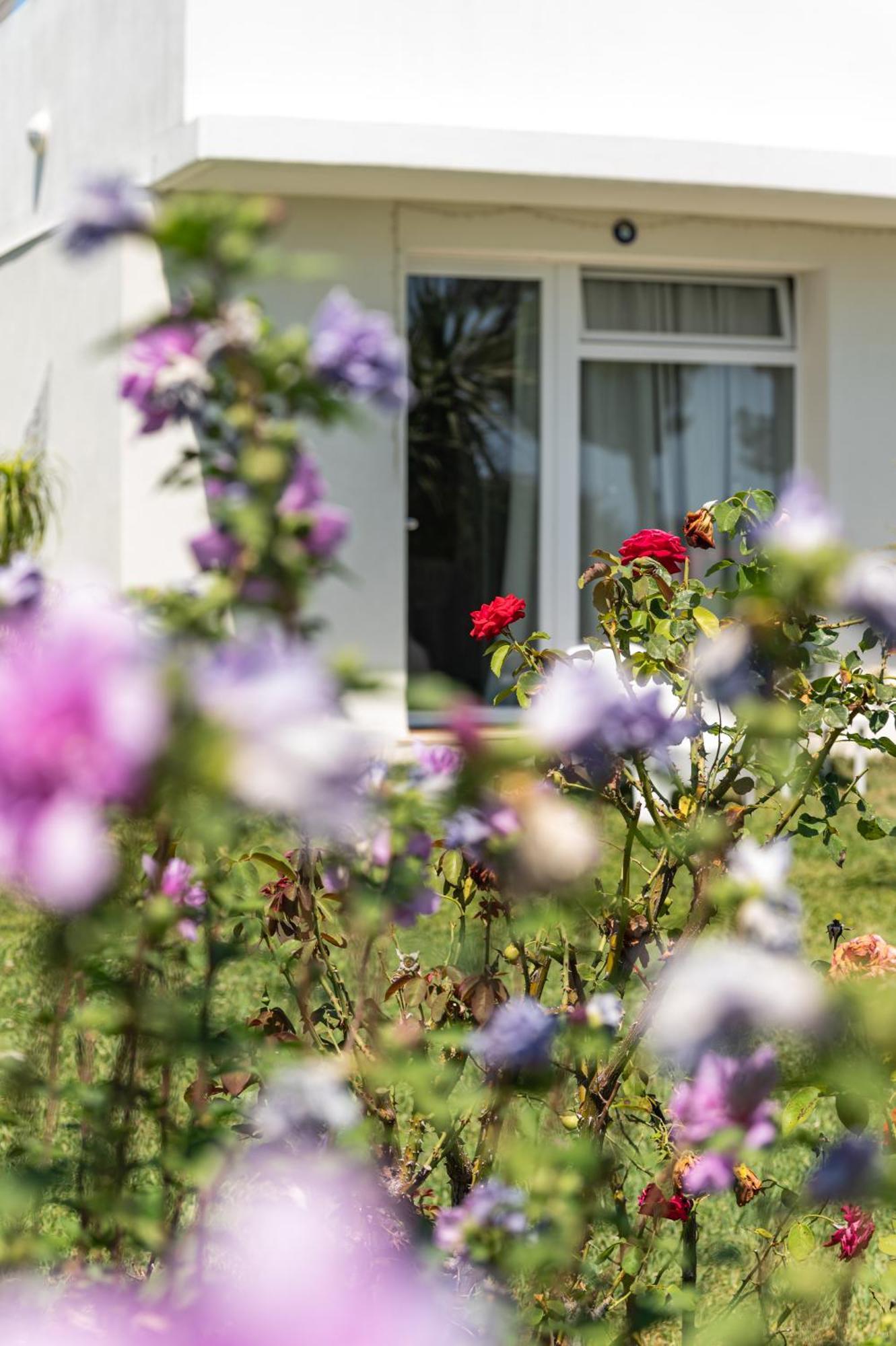 Villa Tropical Франкавила ал Маре Екстериор снимка