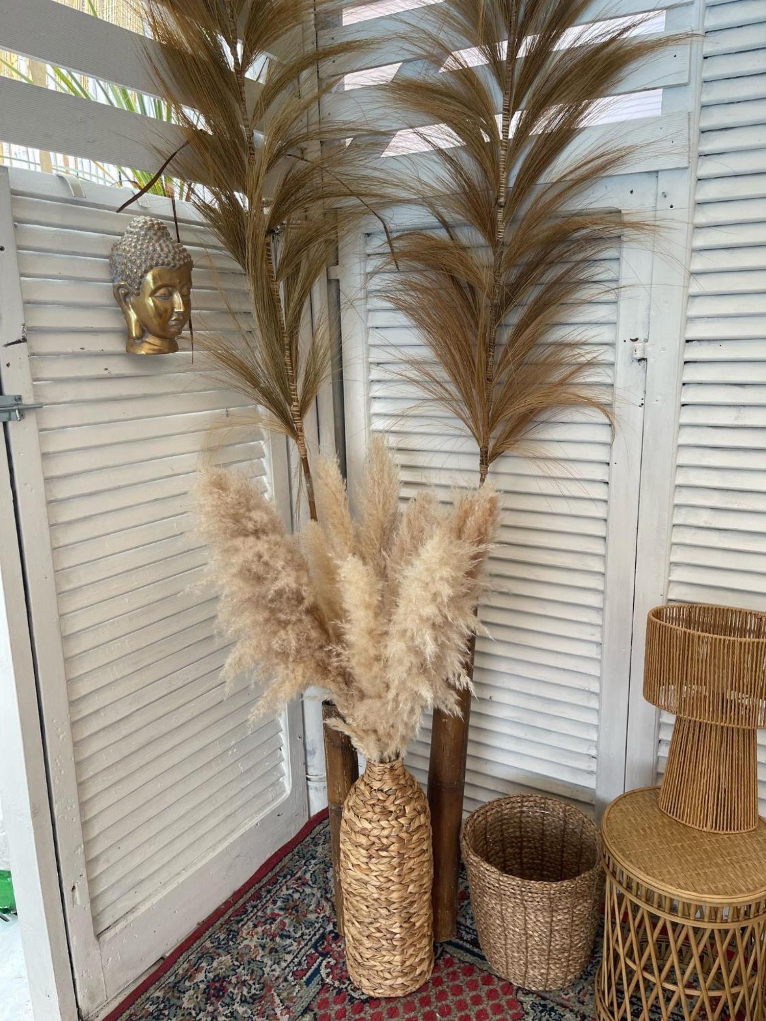 Villa Tropical Франкавила ал Маре Екстериор снимка